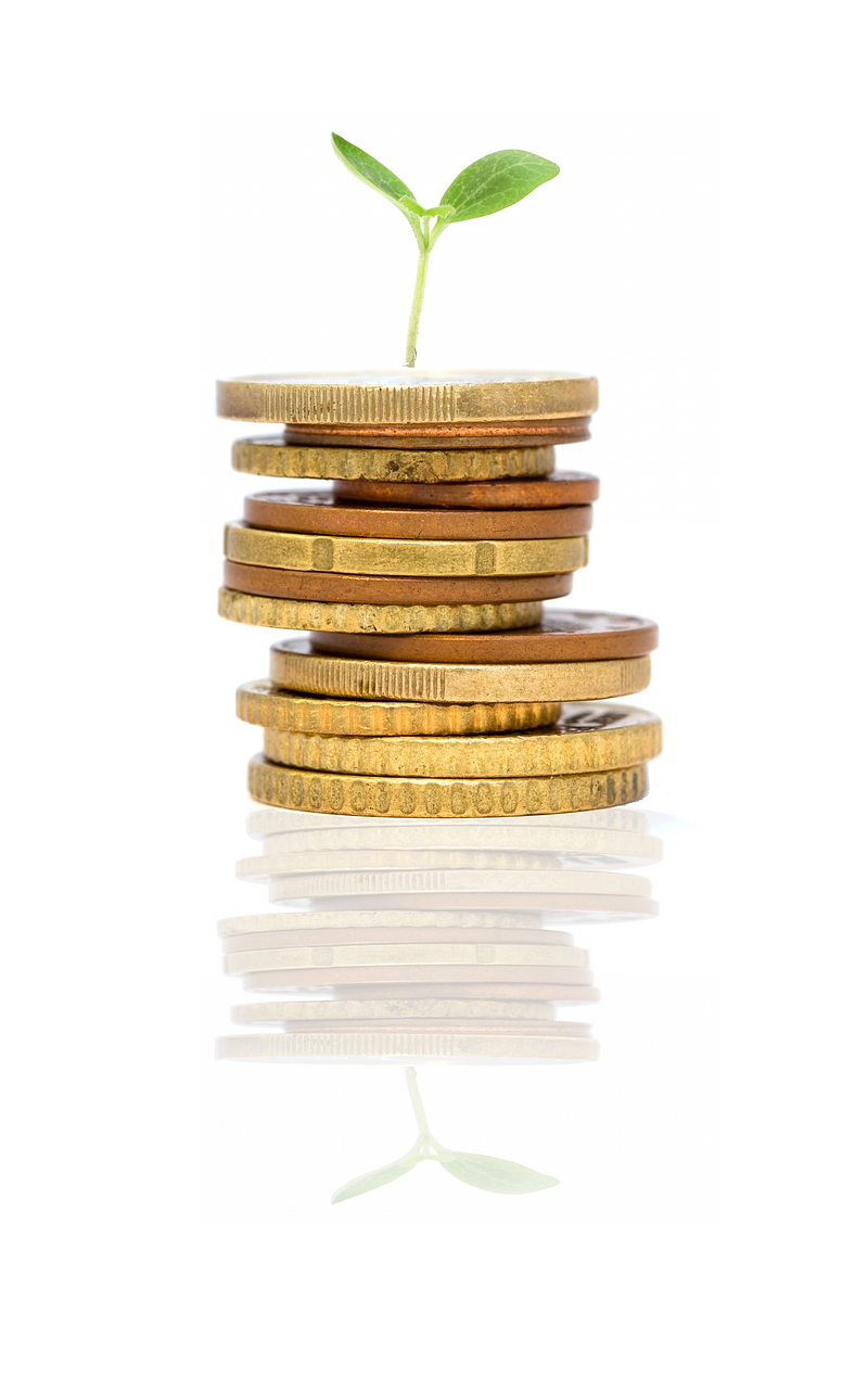 積立投資におけるWealthNaviの評判はどうなのか？